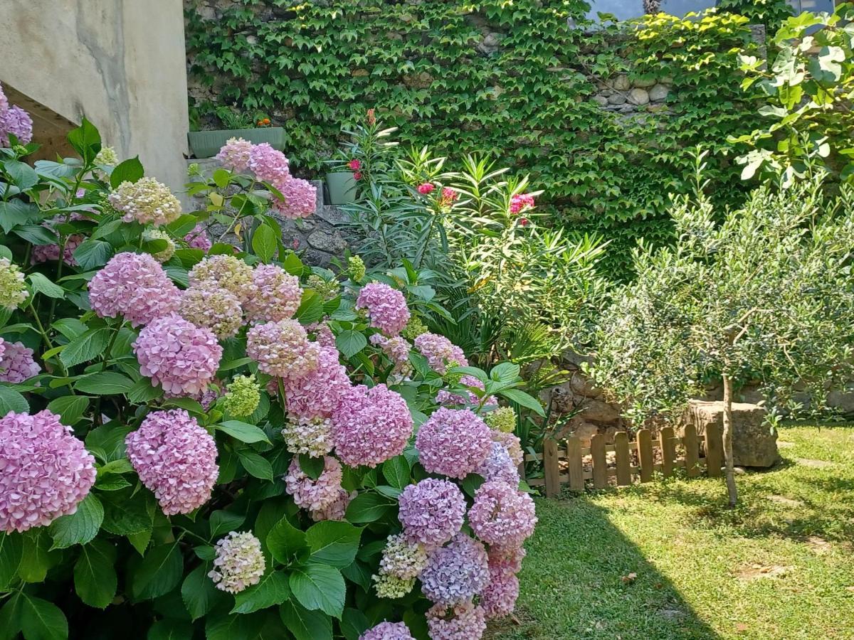 Les Glycines Le Vigan (Gard) Exterior foto